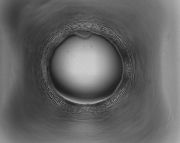 X0000116141489200911231300