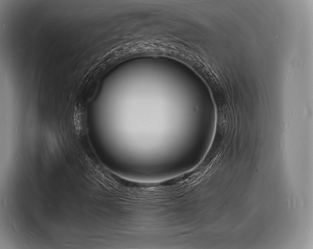X0000116141490200911231300