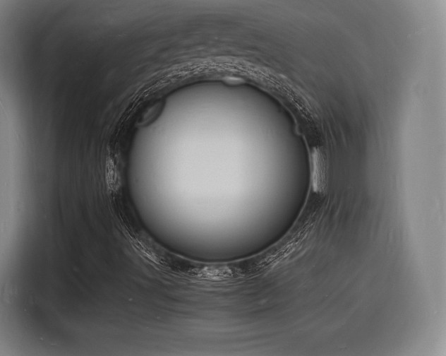 X0000116141491200911231300
