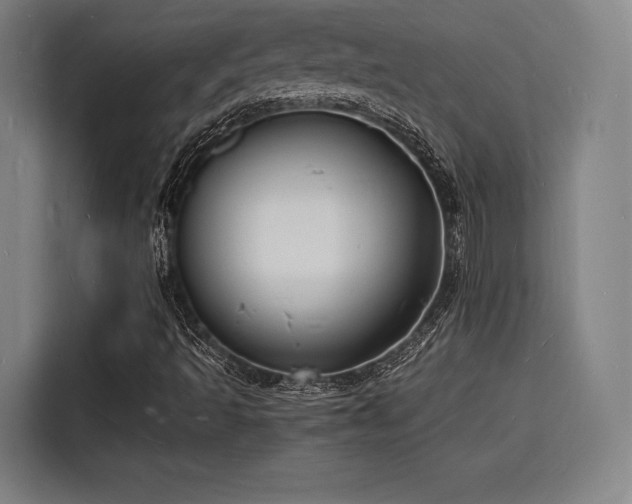 X0000116141493200911231300