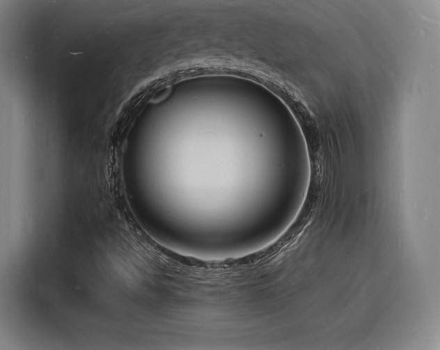 X0000116141494200911231300