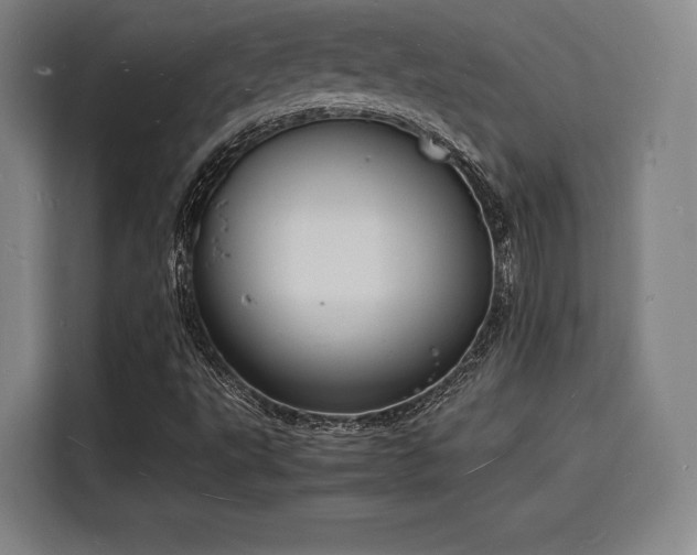 X0000116141495200911231300