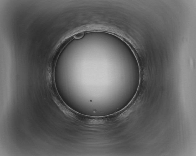 X0000116141499200911231300