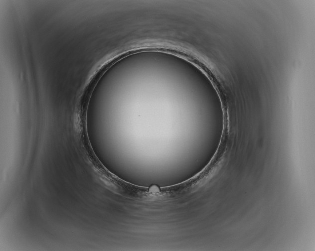 X0000116141501200911231300