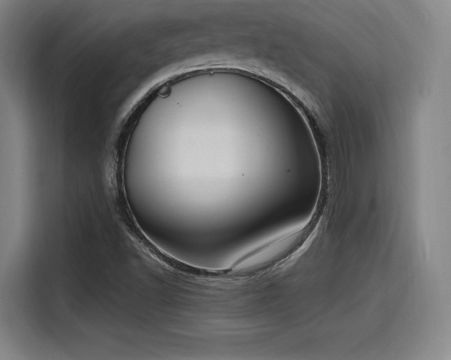 X0000116141502200911231300