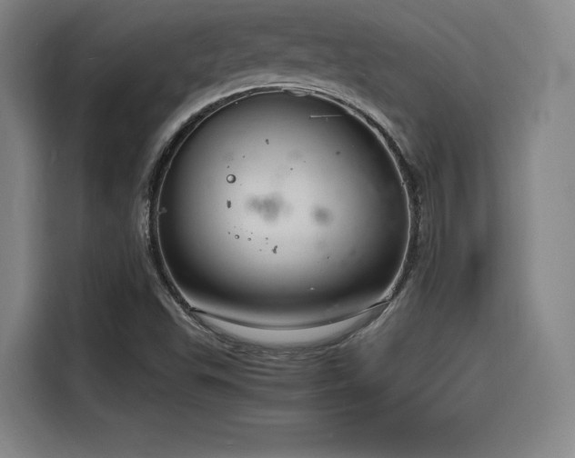 X0000116141503200911231300