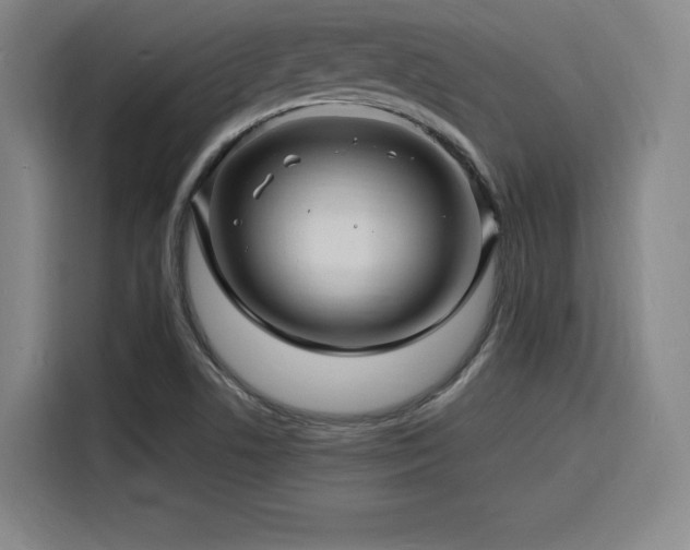 X0000116141506200911231300