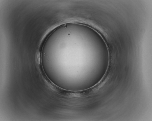 X0000116141509200911231300