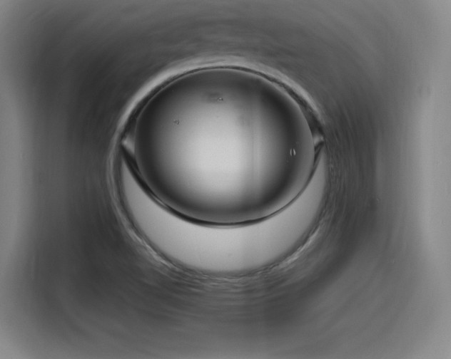 X0000116141510200911231300