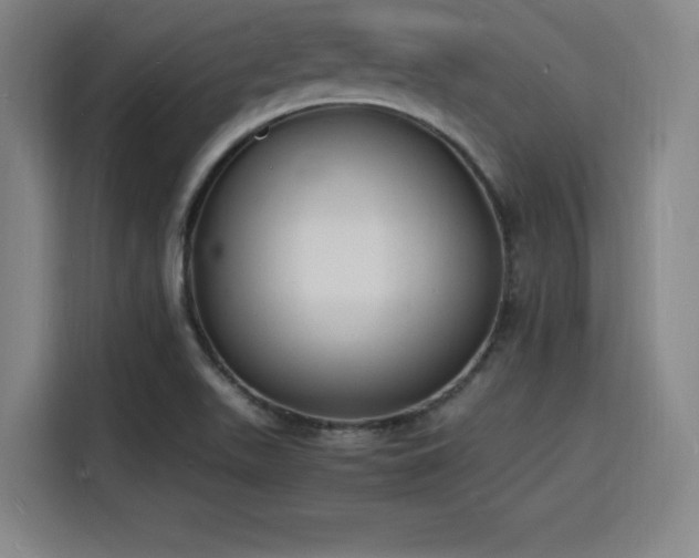 X0000116141511200911231300