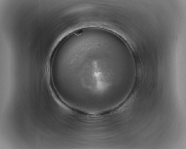 X0000116141515200911231300