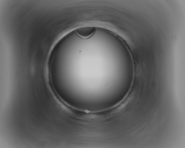 X0000116141517200911231301