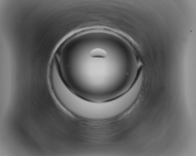 X0000116141518200911231301