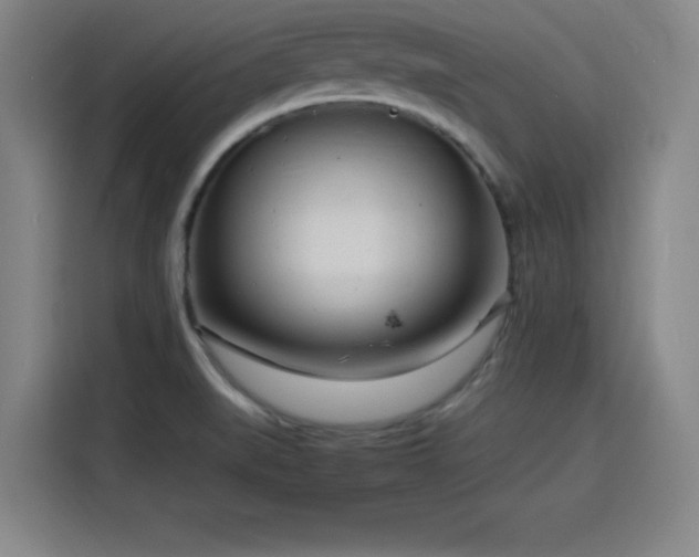 X0000116141519200911231301