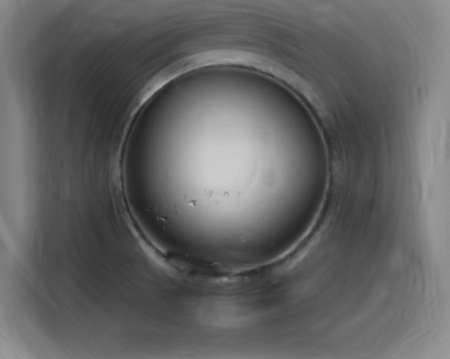 X0000116141521200911231301