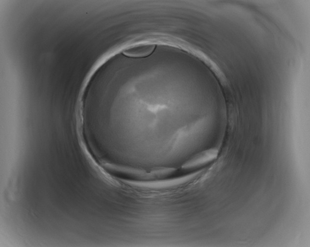 X0000116141522200911231301