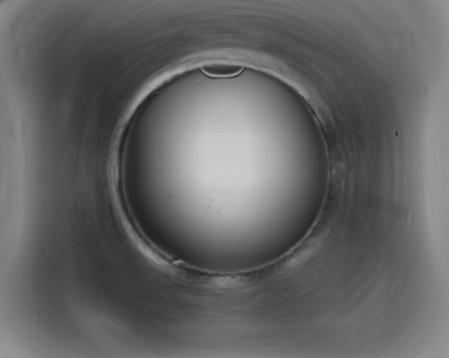 X0000116141523200911231301