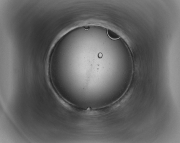 X0000116141525200911231301