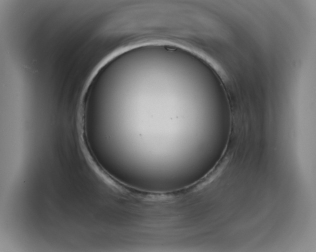 X0000116141526200911231301