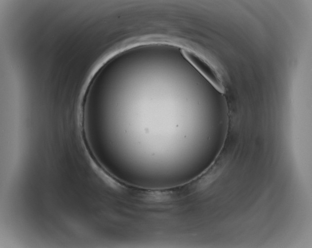 X0000116141527200911231301