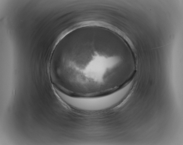 X0000116141529200911231301
