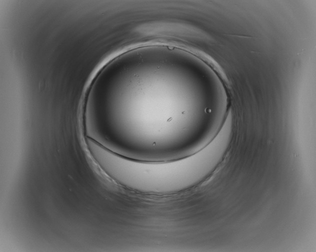 X0000116141530200911231301