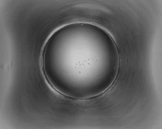 X0000116141531200911231301