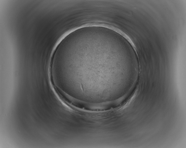 X0000116141533200911231301