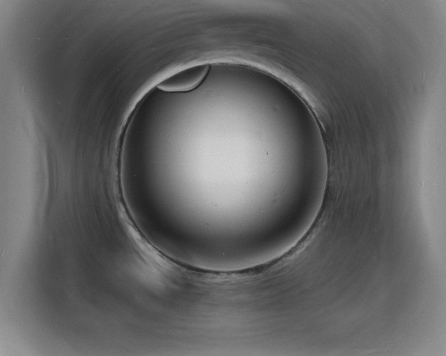 X0000116141534200911231301