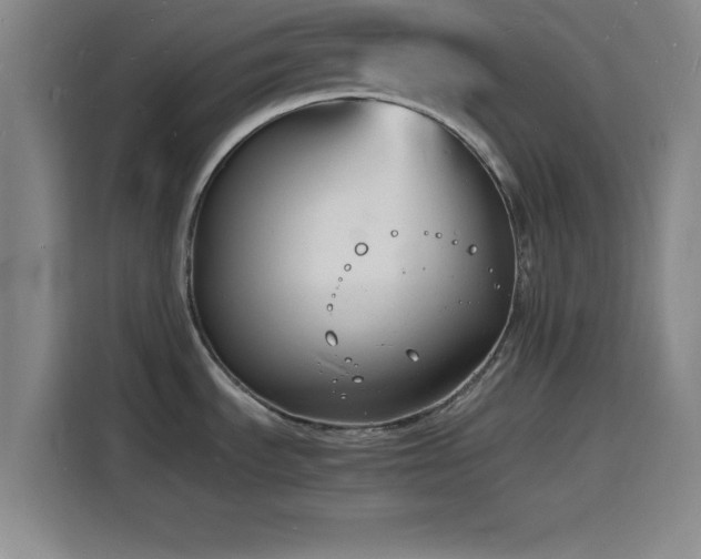 X0000116141535200911231301