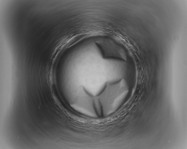 X0000116140002200911301530