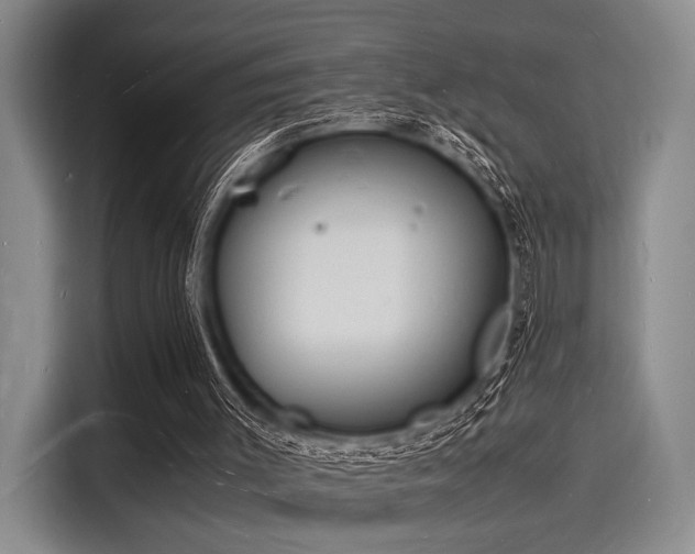 X0000116140003200911301530