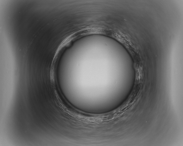 X0000116140004200911301530