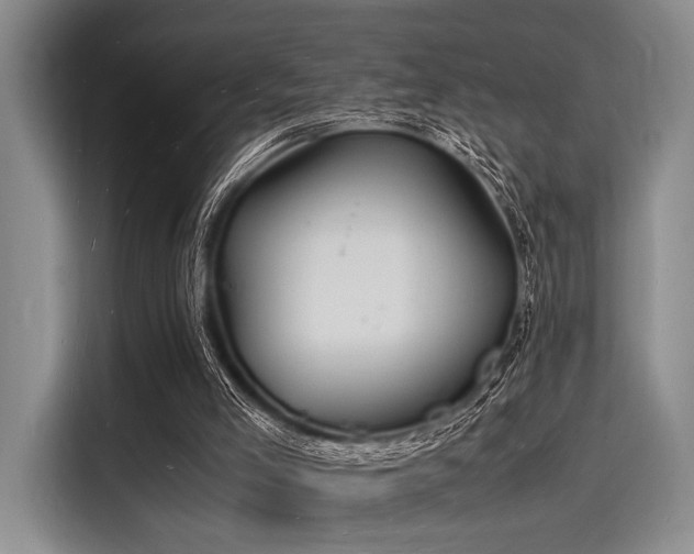 X0000116140005200911301530