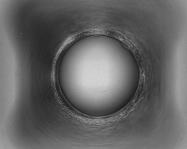 X0000116140006200911301530