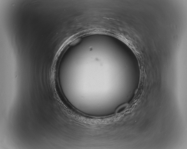 X0000116140007200911301530