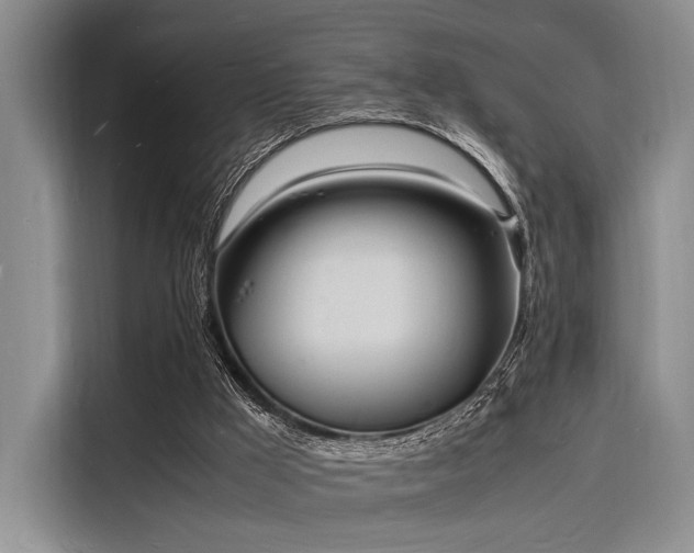 X0000116140009200911301530