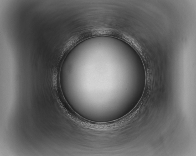 X0000116140010200911301530