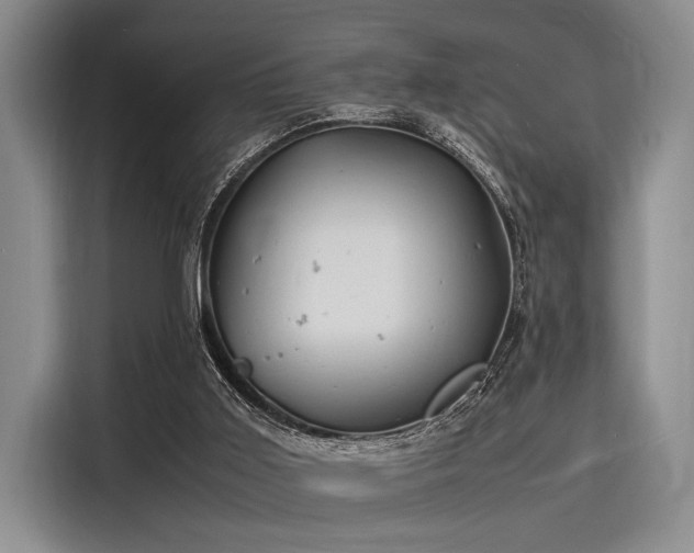 X0000116140011200911301530