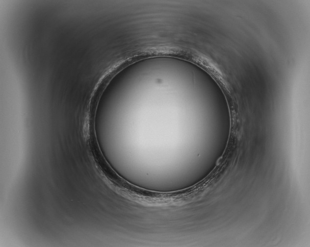 X0000116140012200911301530