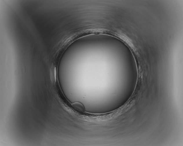 X0000116140013200911301530