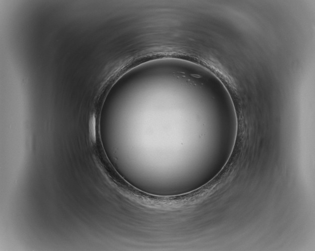 X0000116140014200911301530