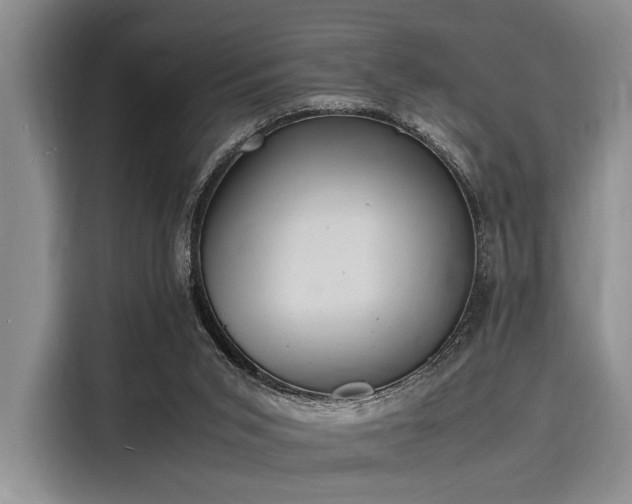 X0000116140015200911301530