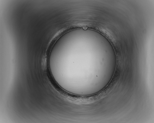 X0000116140016200911301530