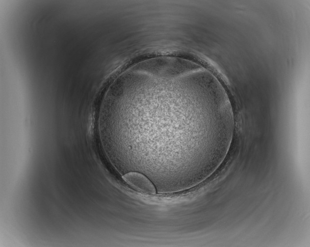 X0000116140018200911301530