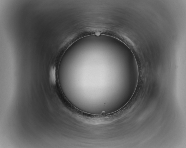 X0000116140020200911301530