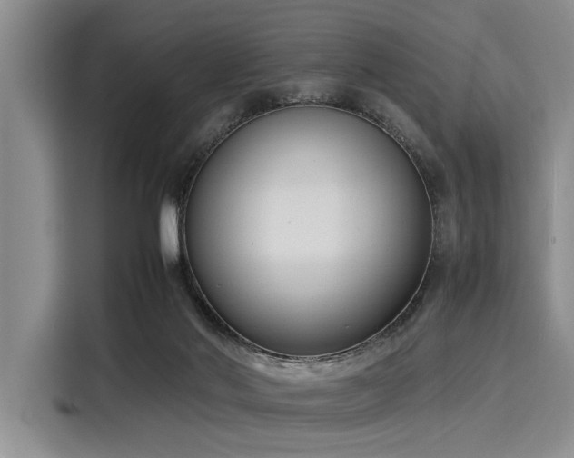 X0000116140022200911301530