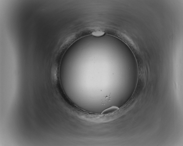 X0000116140023200911301530