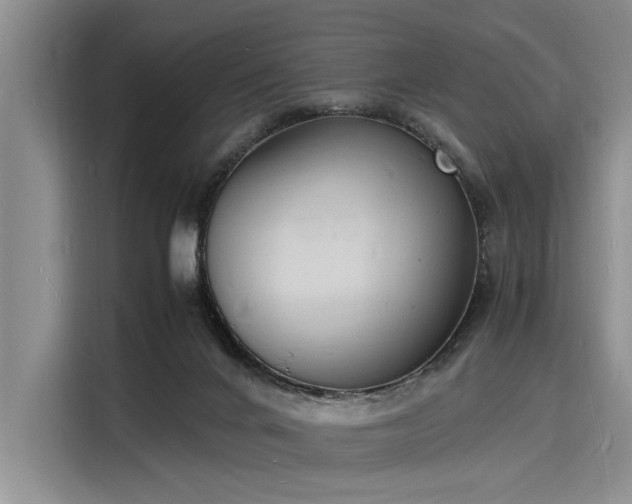 X0000116140024200911301530