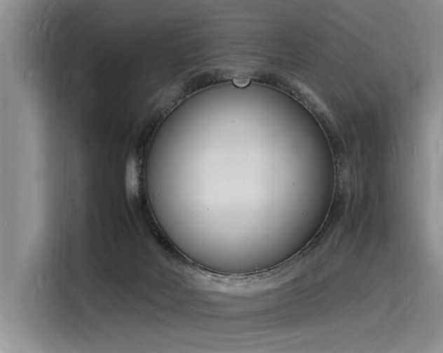 X0000116140026200911301530